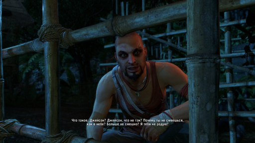 Far Cry 3 - Тропическое безумие. Обзор Far Cry 3